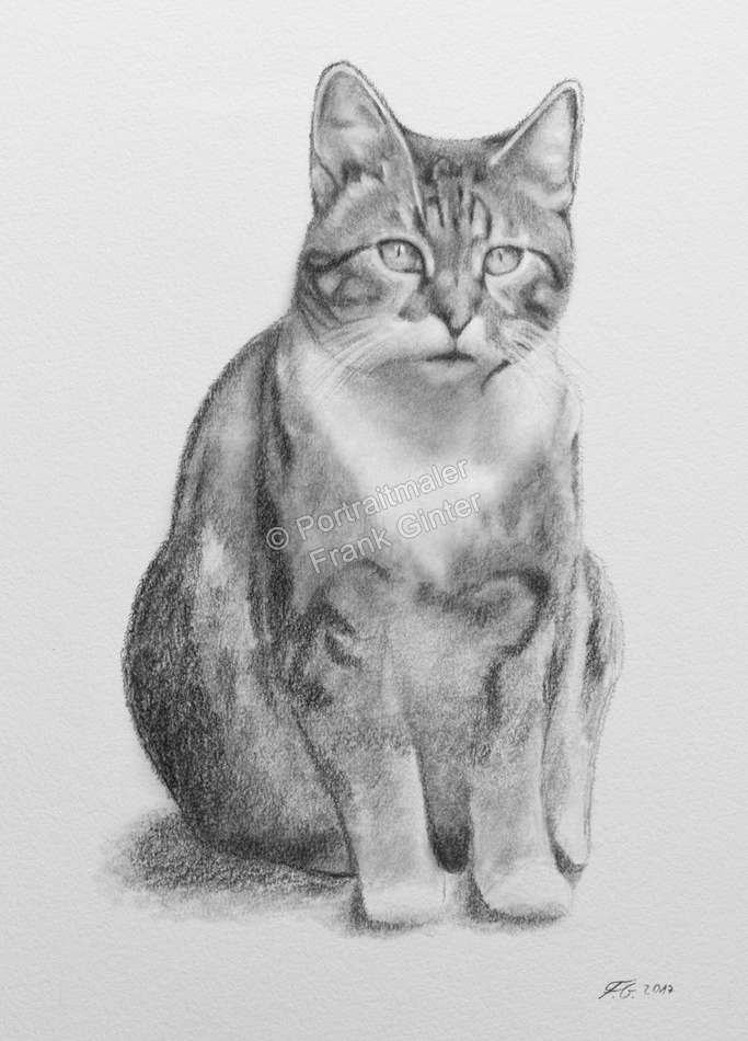 Bleistiftzeichnungen, Katzenportraits als Ganzkörperzeichnung mit Bleistift gezeichnet
