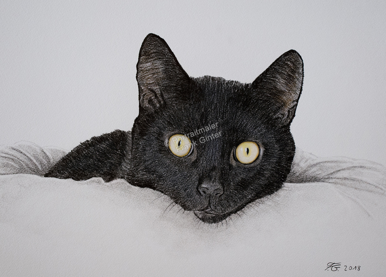Farbstiftzeichnung eines Katzenportraits, Katze mit Farbstift fotorealistisch gezeichnet